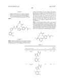 NOVEL MACROCYCLES AS FACTOR XIA INHIBITORS diagram and image