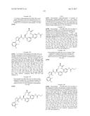 NOVEL MACROCYCLES AS FACTOR XIA INHIBITORS diagram and image