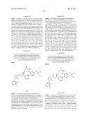 NOVEL MACROCYCLES AS FACTOR XIA INHIBITORS diagram and image