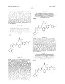 NOVEL MACROCYCLES AS FACTOR XIA INHIBITORS diagram and image