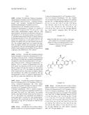 NOVEL MACROCYCLES AS FACTOR XIA INHIBITORS diagram and image