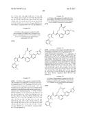 NOVEL MACROCYCLES AS FACTOR XIA INHIBITORS diagram and image