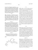 NOVEL MACROCYCLES AS FACTOR XIA INHIBITORS diagram and image