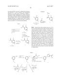 NOVEL MACROCYCLES AS FACTOR XIA INHIBITORS diagram and image