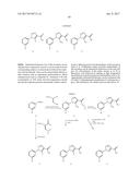 NOVEL MACROCYCLES AS FACTOR XIA INHIBITORS diagram and image