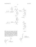 NOVEL MACROCYCLES AS FACTOR XIA INHIBITORS diagram and image