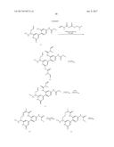 NOVEL MACROCYCLES AS FACTOR XIA INHIBITORS diagram and image