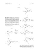 NOVEL MACROCYCLES AS FACTOR XIA INHIBITORS diagram and image