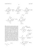 NOVEL MACROCYCLES AS FACTOR XIA INHIBITORS diagram and image