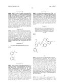 NOVEL MACROCYCLES AS FACTOR XIA INHIBITORS diagram and image