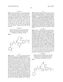 NOVEL MACROCYCLES AS FACTOR XIA INHIBITORS diagram and image