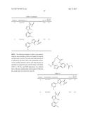 NOVEL MACROCYCLES AS FACTOR XIA INHIBITORS diagram and image