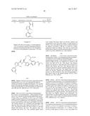 NOVEL MACROCYCLES AS FACTOR XIA INHIBITORS diagram and image