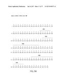 IP-10 ANTIBODIES AND THEIR USES diagram and image