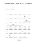 IP-10 ANTIBODIES AND THEIR USES diagram and image