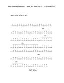 IP-10 ANTIBODIES AND THEIR USES diagram and image