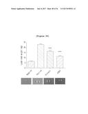 BINDING INHIBITOR BETWEEN TCTP DIMER TYPE IGE-DEPENDENT HISTAMINE     RELEASING FACTOR AND RECEPTOR THEREOF, AND USE THEREOF diagram and image