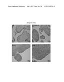 BINDING INHIBITOR BETWEEN TCTP DIMER TYPE IGE-DEPENDENT HISTAMINE     RELEASING FACTOR AND RECEPTOR THEREOF, AND USE THEREOF diagram and image