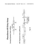 COMPOSITIONS AND METHODS FOR DETERMINING WHETHER A SUBJECT WOULD BENEFIT     FROM CO-RECEPTOR INHIBITOR THERAPY diagram and image