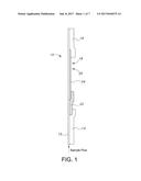 BLOOD-BASED LATERAL-FLOW DIPSTICK ASSAY FOR DETECTION OF ENTERIC FEVER diagram and image