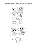 MAGNETO-MECHANICAL CLAMPING DEVICE diagram and image