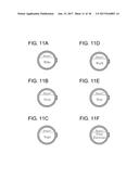 BIOLOGICAL INFORMATION DETECTING DEVICE AND CONTROL METHOD FOR BIOLOGICAL     INFORMATION DETECTING DEVICE diagram and image