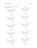 CARBAZOLE COMPOUNDS AND THERAPEUTIC USES OF THE COMPOUNDS diagram and image