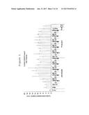 AGENT FOR THE TREATMENT AND OR PROPHYLAXIS OF AN AUTOIMMUNE DISEASE AND     FOR THE FORMATION OF REGULATORY T CELLS diagram and image