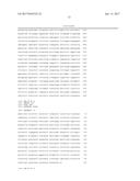 GENE EDITED ANTIGEN PRESENTING CELLS diagram and image