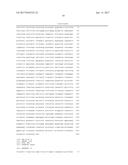 GENE EDITED ANTIGEN PRESENTING CELLS diagram and image