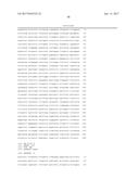 GENE EDITED ANTIGEN PRESENTING CELLS diagram and image