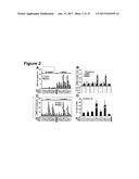 IMMUNOSTIMULATORY COMBINATIONS OF TLR LIGANDS AND METHODS OF USE diagram and image