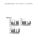 IMMUNOSTIMULATORY COMBINATIONS OF TLR LIGANDS AND METHODS OF USE diagram and image