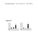 IMMUNOSTIMULATORY COMBINATIONS OF TLR LIGANDS AND METHODS OF USE diagram and image