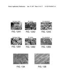 ROBUST CARBON NANOTUBE MEMBRANES AND METHODS OF MAKING THE SAME diagram and image