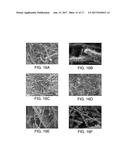 ROBUST CARBON NANOTUBE MEMBRANES AND METHODS OF MAKING THE SAME diagram and image