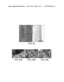 ROBUST CARBON NANOTUBE MEMBRANES AND METHODS OF MAKING THE SAME diagram and image