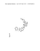 FUMAGILLOL DERIVATIVES AND POLYMORPHS THEREOF diagram and image