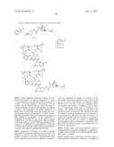 FUMAGILLOL DERIVATIVES AND POLYMORPHS THEREOF diagram and image