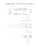 SOLID STATE FORMS OF A PDE10 INHIBITOR diagram and image