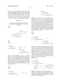 BENZOQUINOLINE INHIBITORS OF VESICULAR MONOAMINE TRANSPORTER 2 diagram and image