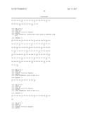 HUMANIZED ANTI-FACTOR D ANTIBODIES AND USES THEREOF diagram and image