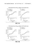 ANTI-LRP5 ANTIBODIES AND METHODS OF USE diagram and image