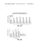 ANTI-LRP5 ANTIBODIES AND METHODS OF USE diagram and image