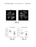 ANTI-LRP5 ANTIBODIES AND METHODS OF USE diagram and image