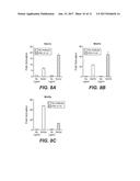 ANTI-LRP5 ANTIBODIES AND METHODS OF USE diagram and image