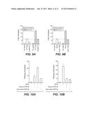 ANTI-LRP5 ANTIBODIES AND METHODS OF USE diagram and image