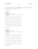 ANTI-LRP5 ANTIBODIES AND METHODS OF USE diagram and image