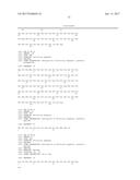 ANTI-LRP5 ANTIBODIES AND METHODS OF USE diagram and image