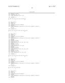 ANTI-LRP5 ANTIBODIES AND METHODS OF USE diagram and image